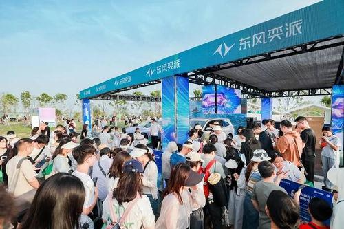 五一大赛最新爆料入口,揭秘神秘入口，抢先体验巅峰对决！