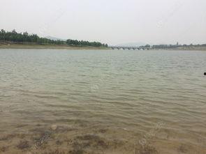 东风水库爆料视频最新2020,震撼视频曝光水库全景与生态变迁