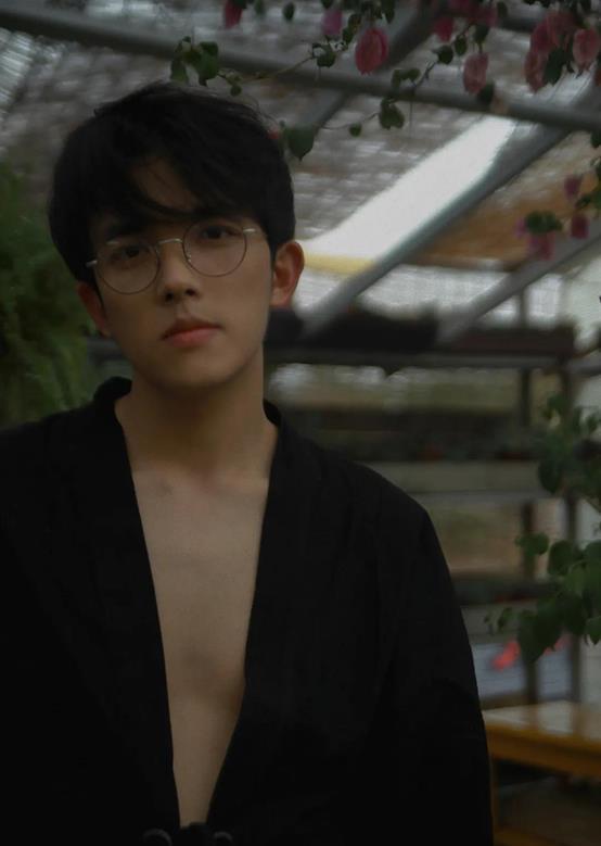 95后男明星爆料大全最新,独家爆料大全大揭秘