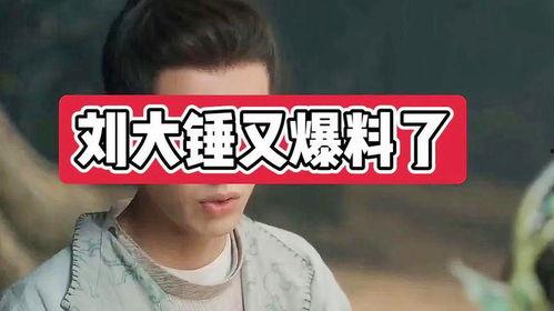 刘大锤最新爆料原版,原版背后的惊人真相