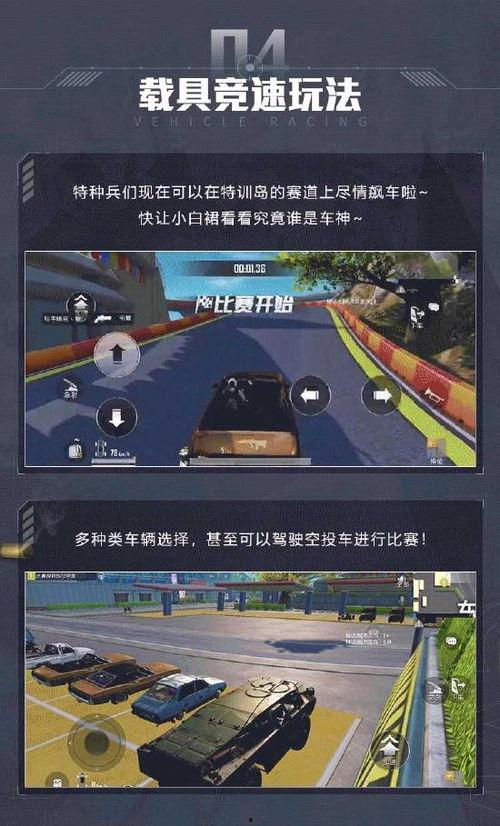 和平精英最新特训岛爆料,神秘岛屿等你探险