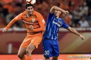 鲁能球员爆料最新消息,揭秘球队内部动态与备战情况