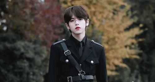 金南俊知乎爆料最新消息,揭秘防弹少年团背后的故事与真相