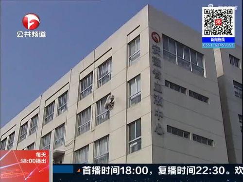 巢湖新闻爆料网最新,揭秘最新突发事件的背后真相