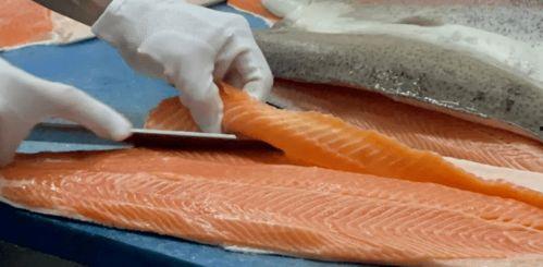 三文鱼最新爆料视频