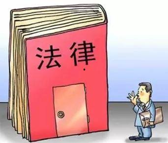 石家庄小学爆料最新消息